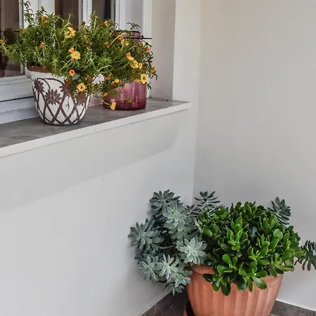 Daire Hidden Garden Deluxe *