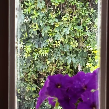 Hidden Garden Deluxe Appartamento