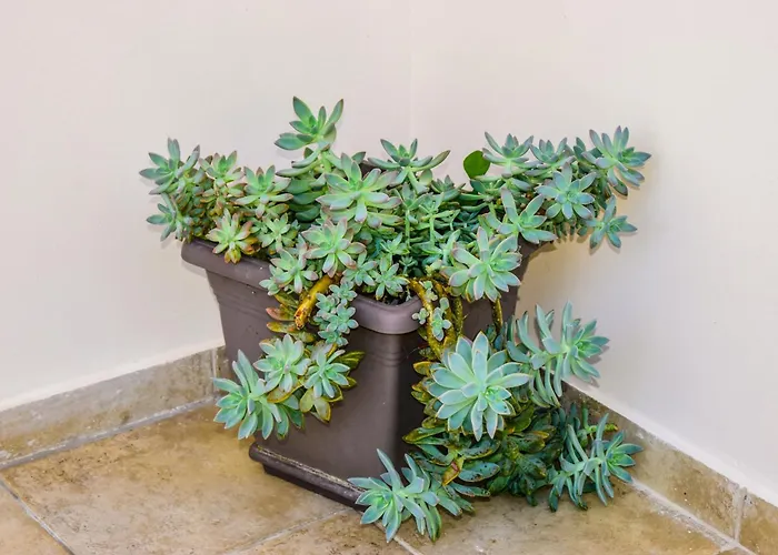 Apartamento Hidden Garden Deluxe