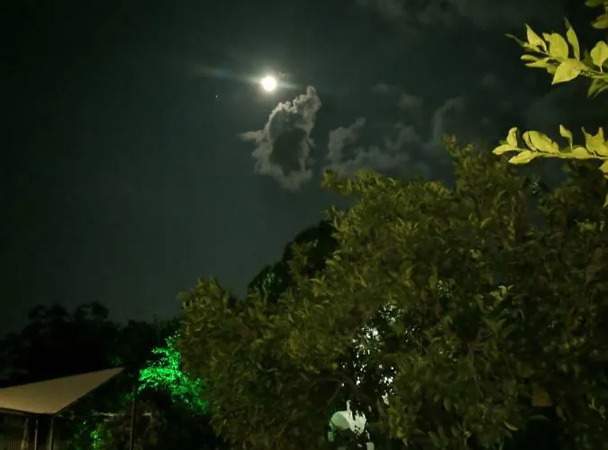 Apartamento Hidden Garden Deluxe